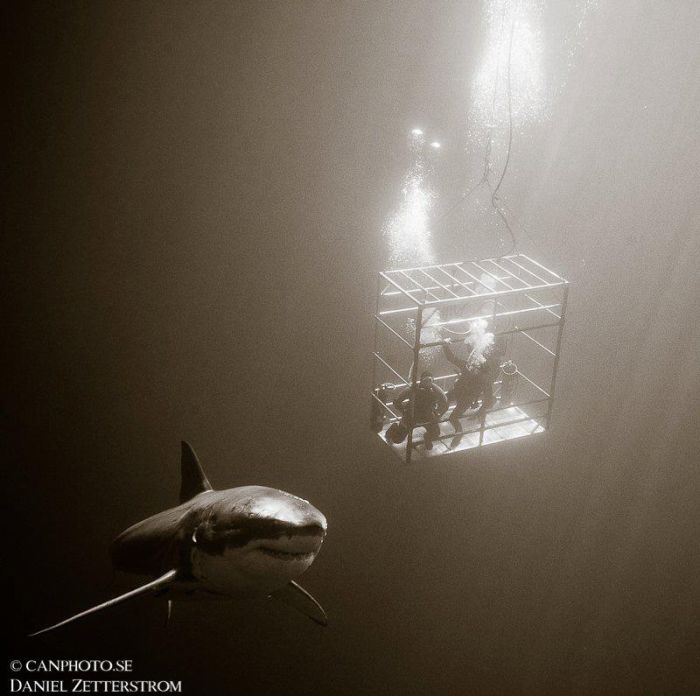 Прикольные картинки (192 фото)