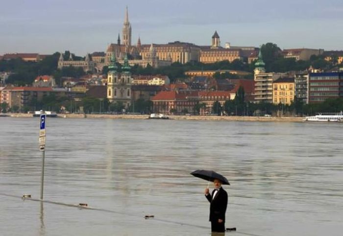 Прикольные картинки (192 фото)