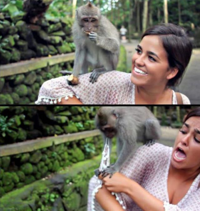 Прикольные картинки (192 фото)