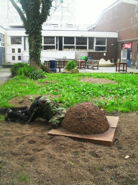 Прикольные картинки (192 фото)