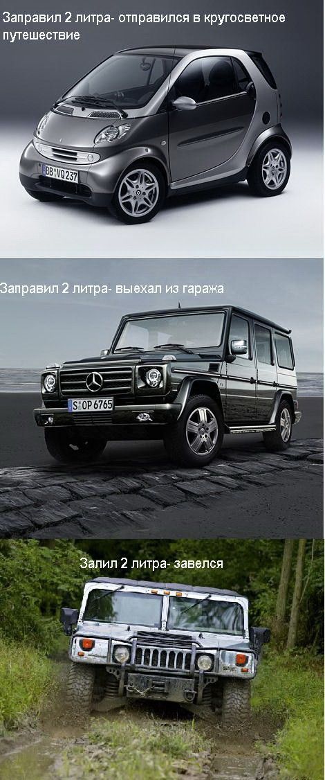 Прикольные картинки (192 фото)