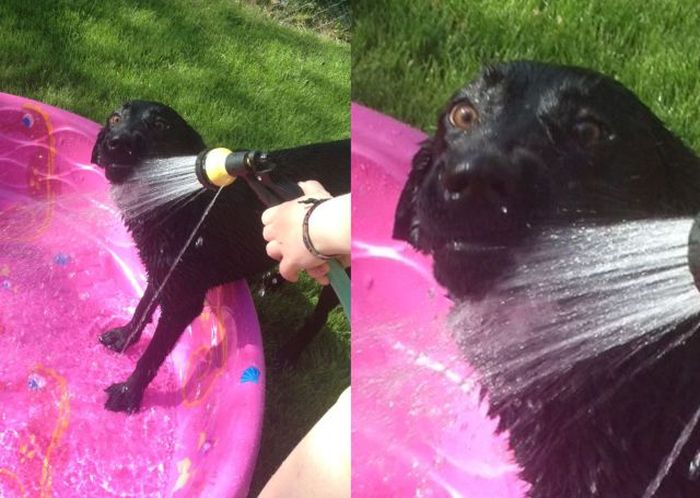 Прикольные картинки (192 фото)