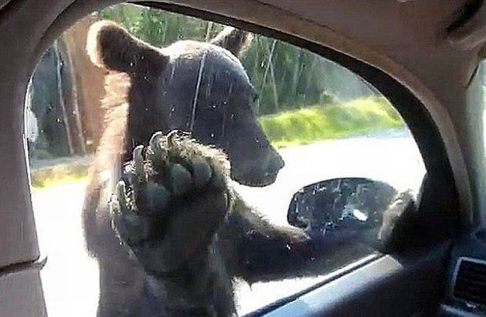 Прикольные картинки (192 фото)