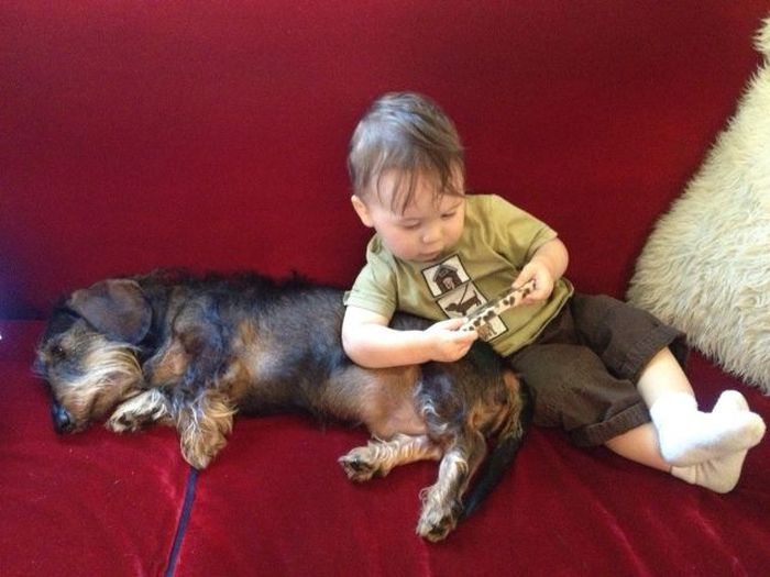 Прикольные картинки (192 фото)