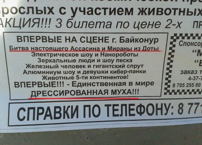 Прикольные картинки (192 фото)