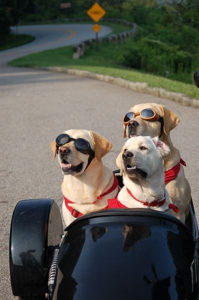 Прикольные картинки (192 фото)