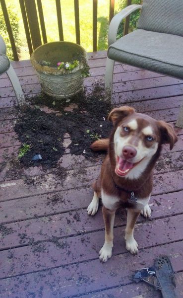 Прикольные картинки (192 фото)