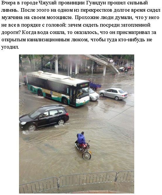 Прикольные картинки (192 фото)