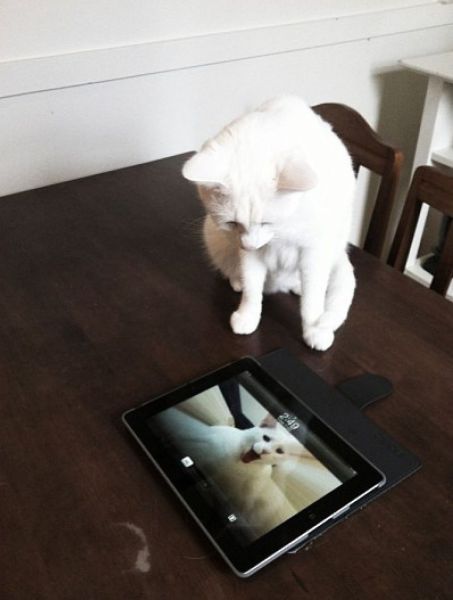 Прикольные картинки (192 фото)