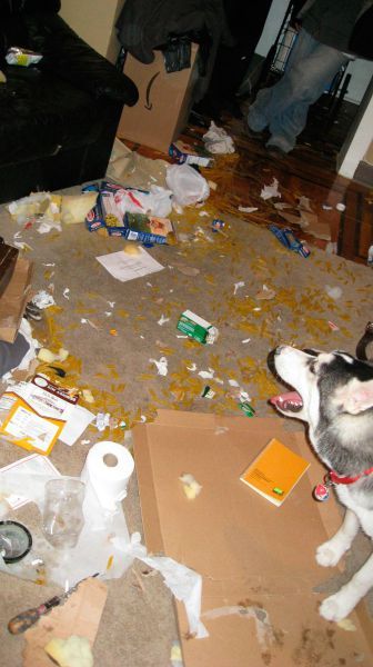 Прикольные картинки (175 фото)