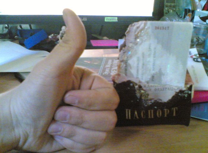 Прикольные картинки (104 фото)