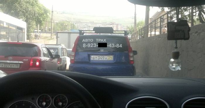 Прикольные картинки (104 фото)