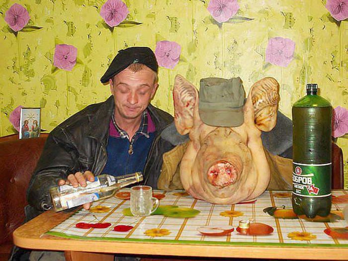 Прикольные картинки (104 фото)