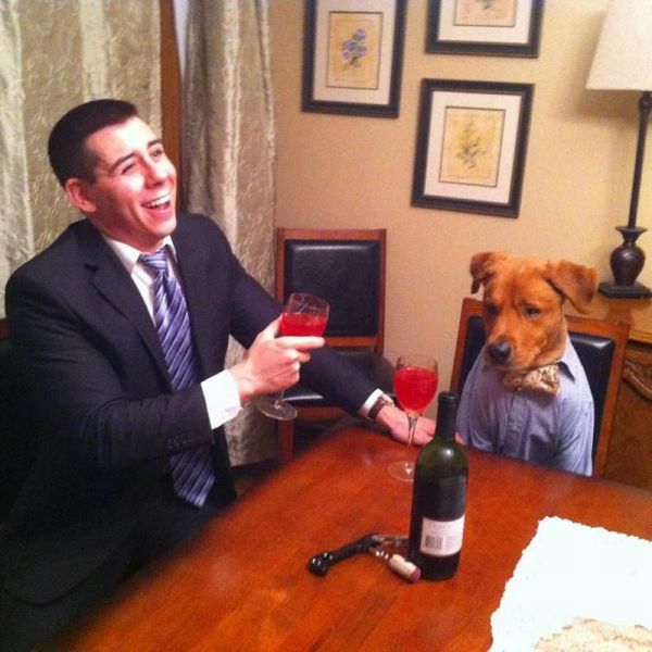 Прикольные картинки (104 фото)