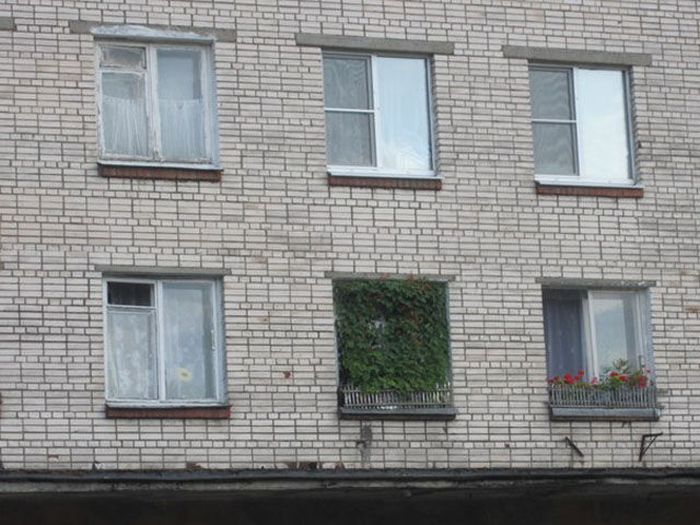 Прикольные картинки (104 фото)