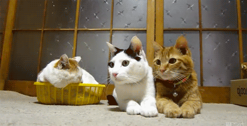 Классные гифки