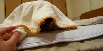 Классные гифки