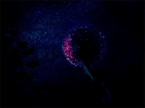 Классные гифки