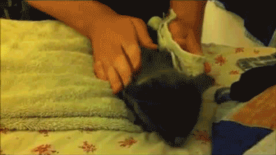 Классные гифки