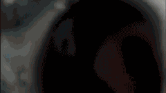 Классные гифки