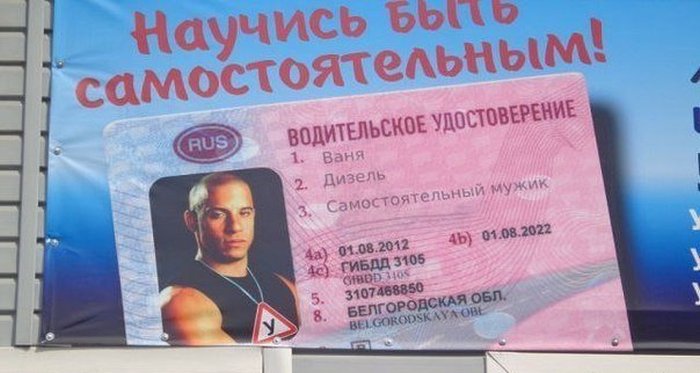 Прикольные картинки