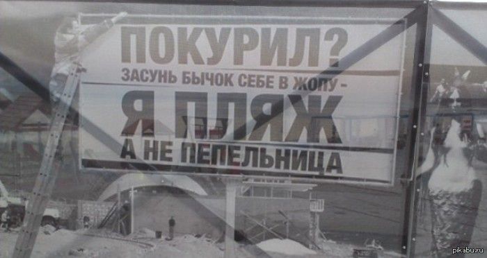 Прикольные картинки