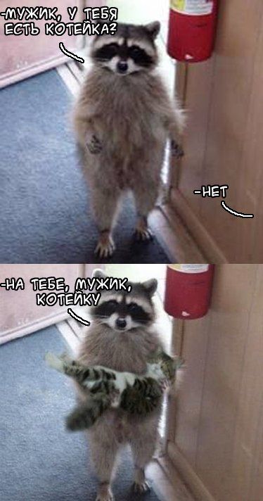 Прикольные картинки