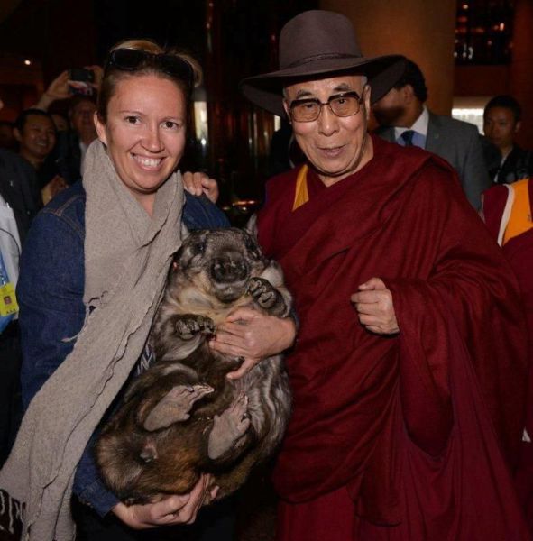 Прикольные картинки