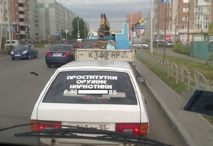 Прикольные картинки