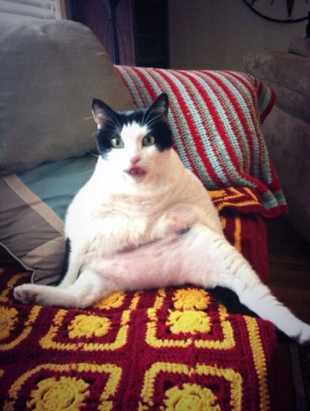 Прикольные картинки