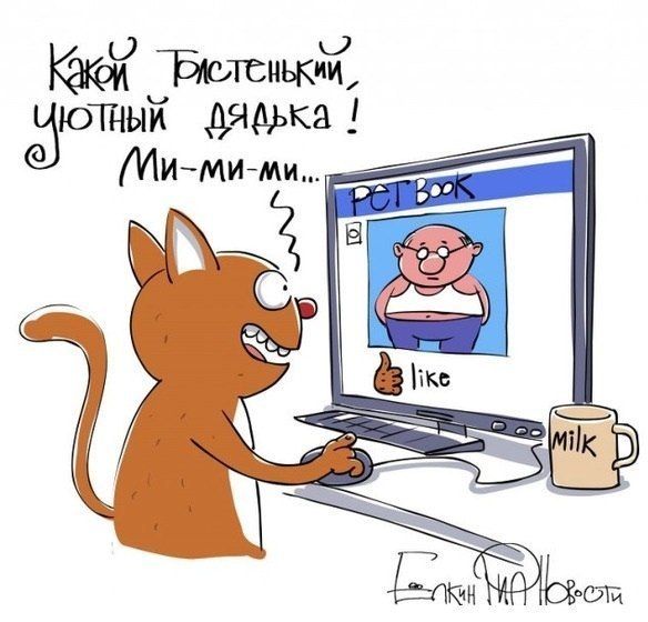 Прикольные картинки