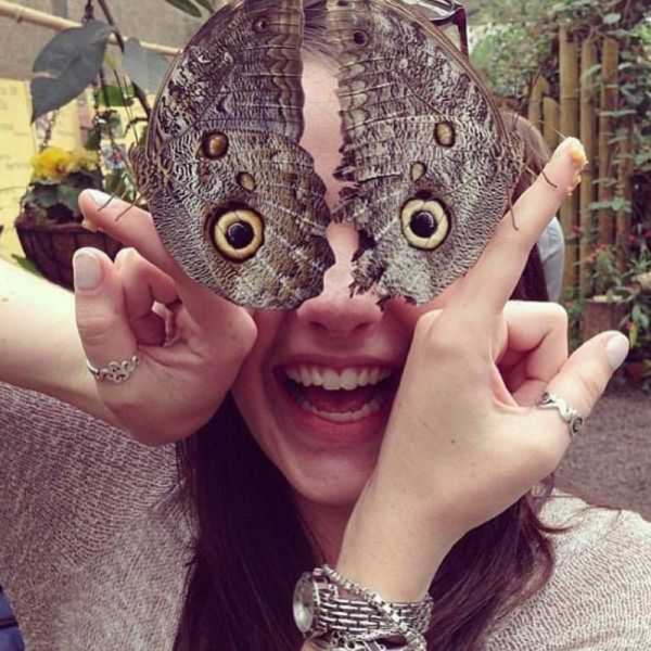 Прикольные картинки