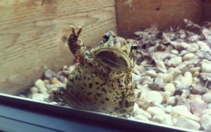 Прикольные картинки