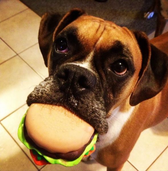 Прикольные картинки