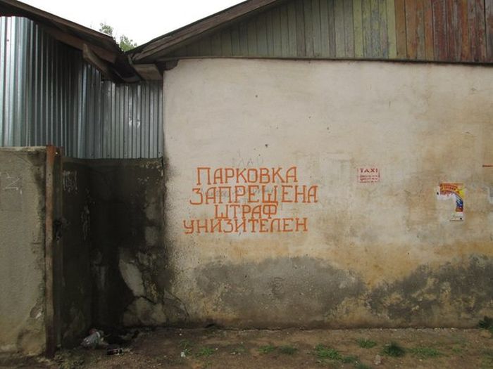 Прикольные картинки