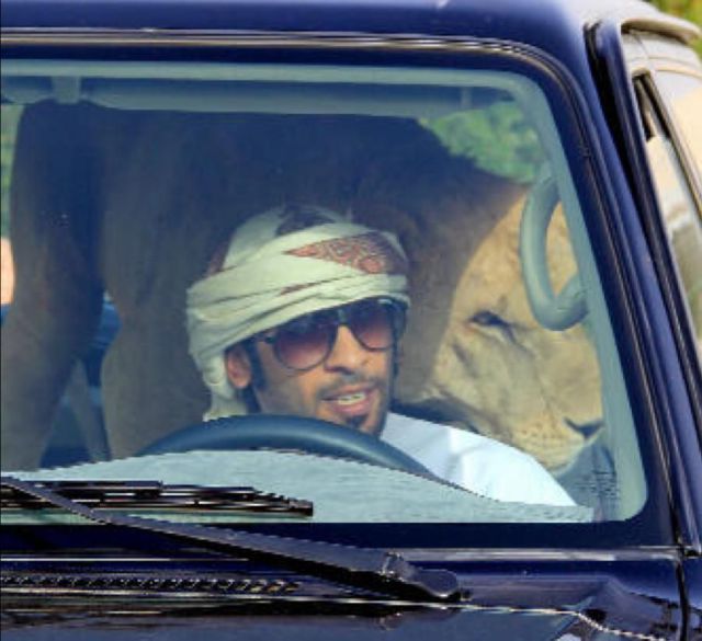 Прикольные картинки