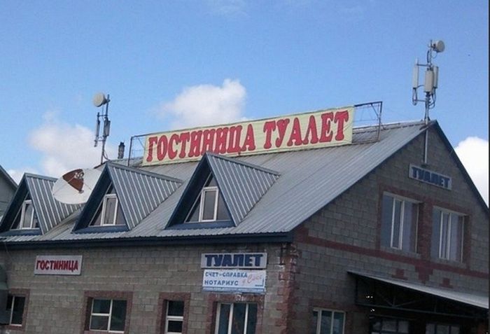 Прикольные картинки