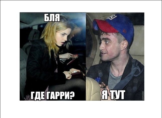 Прикольные картинки