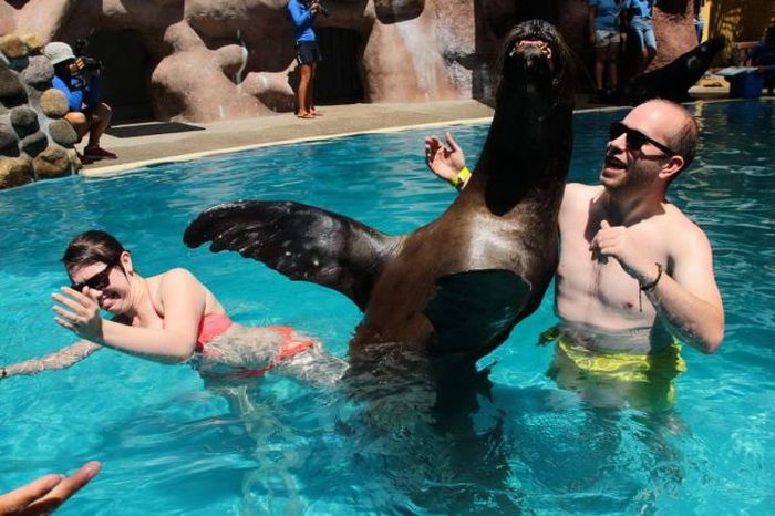 Прикольные картинки