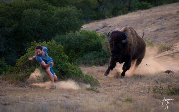 Прикольные картинки