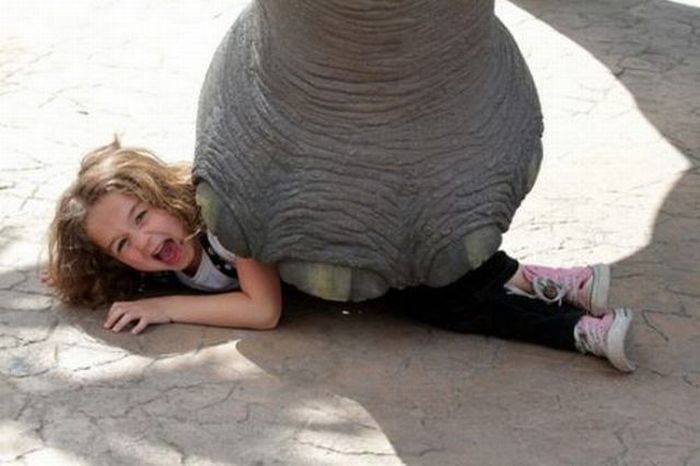 Прикольные картинки