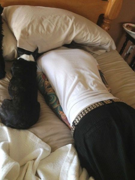 Прикольные картинки