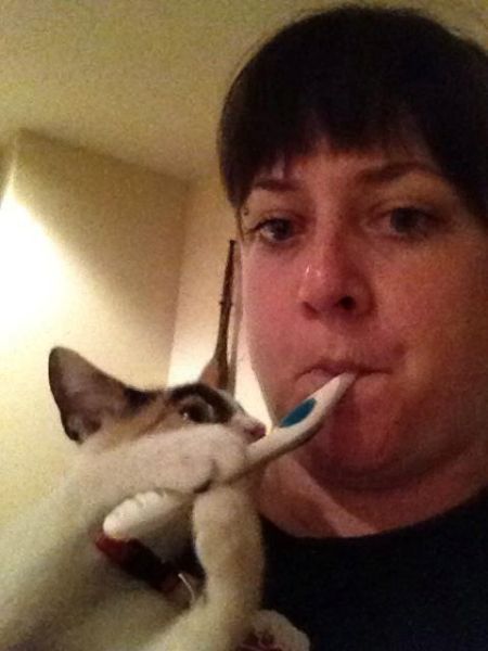 Прикольные картинки