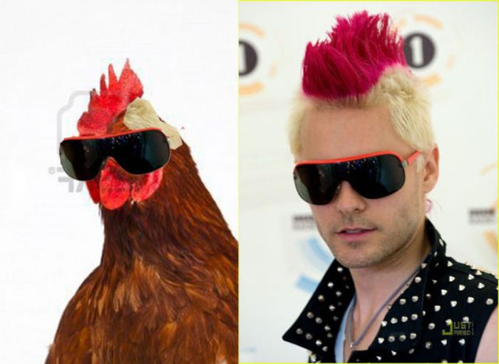 Прикольные картинки