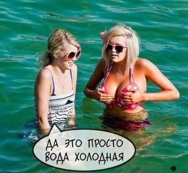 Прикольные картинки