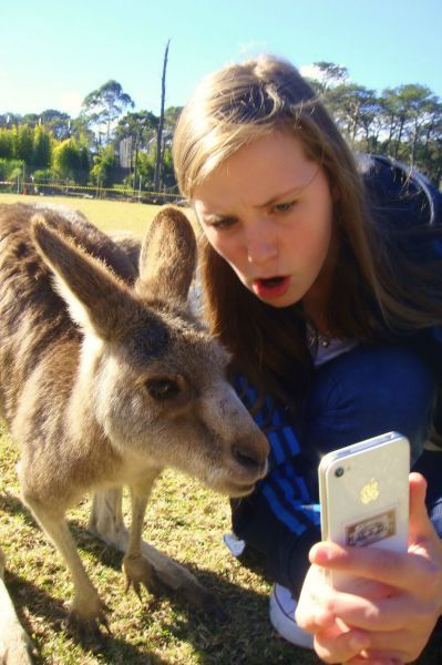 Прикольные картинки