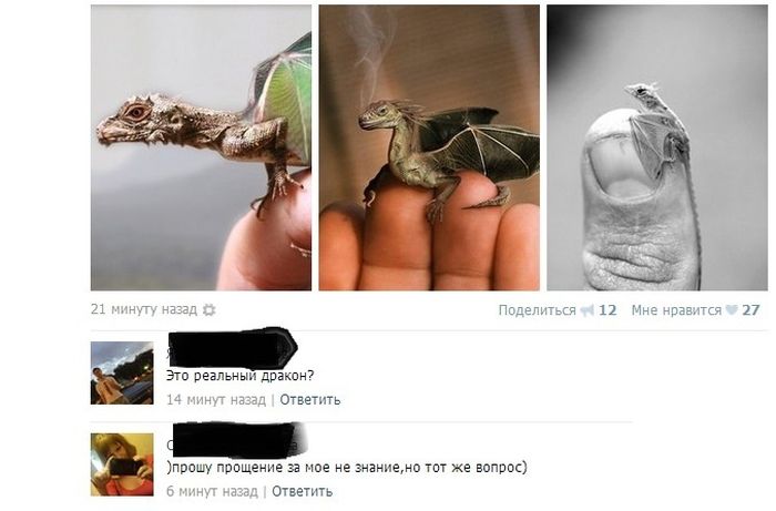 Прикольные картинки