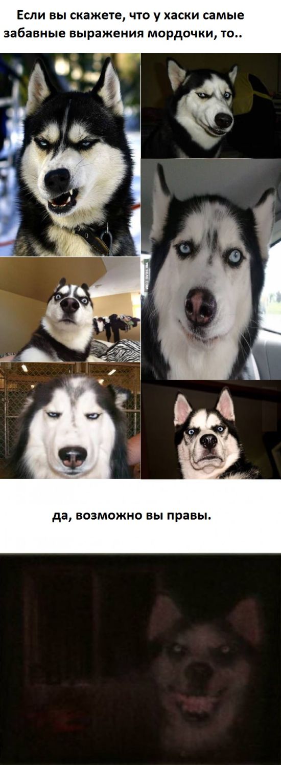 Прикольные картинки