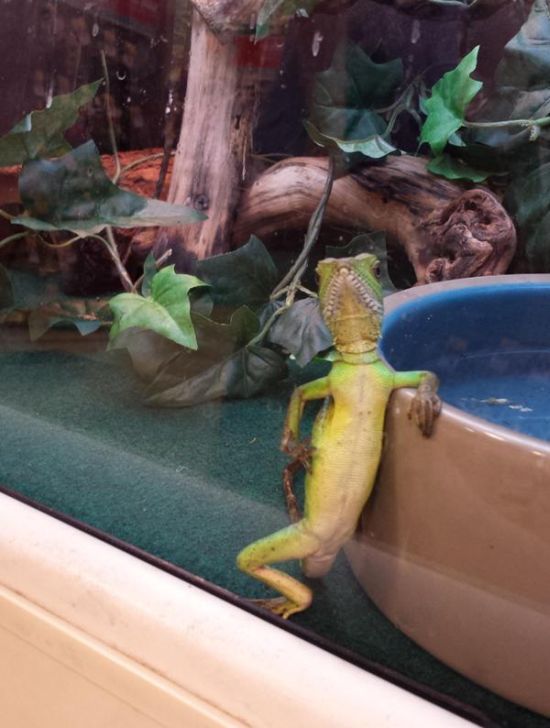 Прикольные картинки