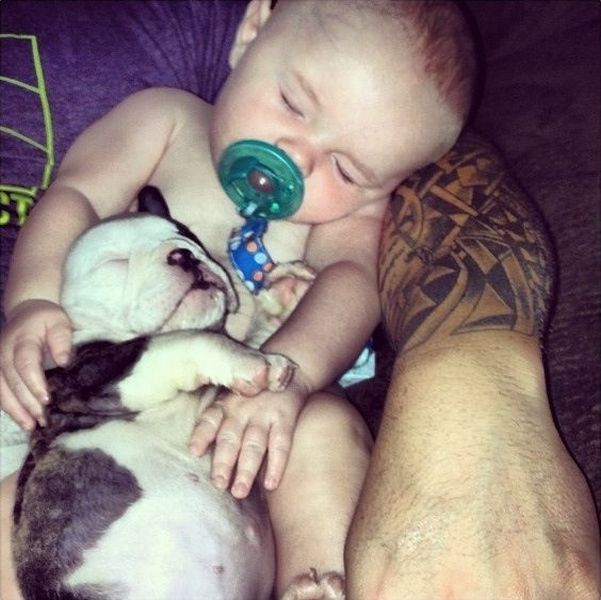 Прикольные картинки